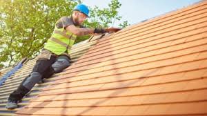 Best Roof Maintenance and Cleaning  in Torrance, CA
