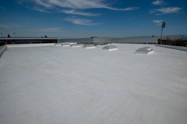 Best Sheet Metal Roofing  in Torrance, CA