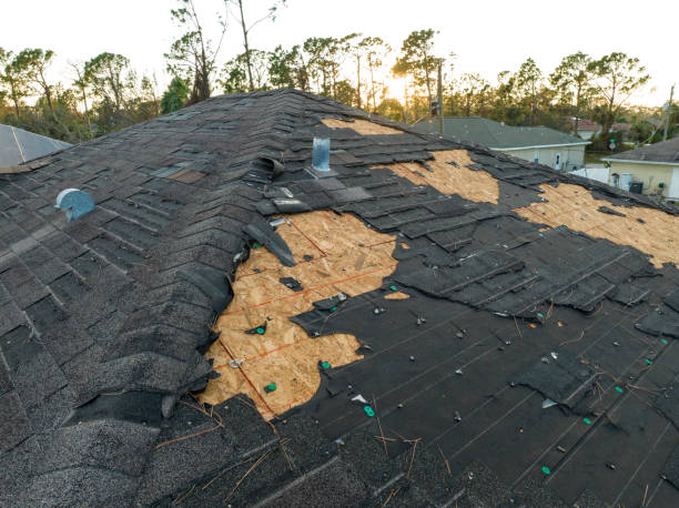 Best Slate Roofing  in Torrance, CA