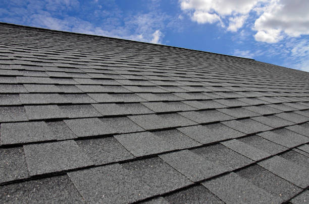 Best Roof Maintenance and Cleaning  in Torrance, CA